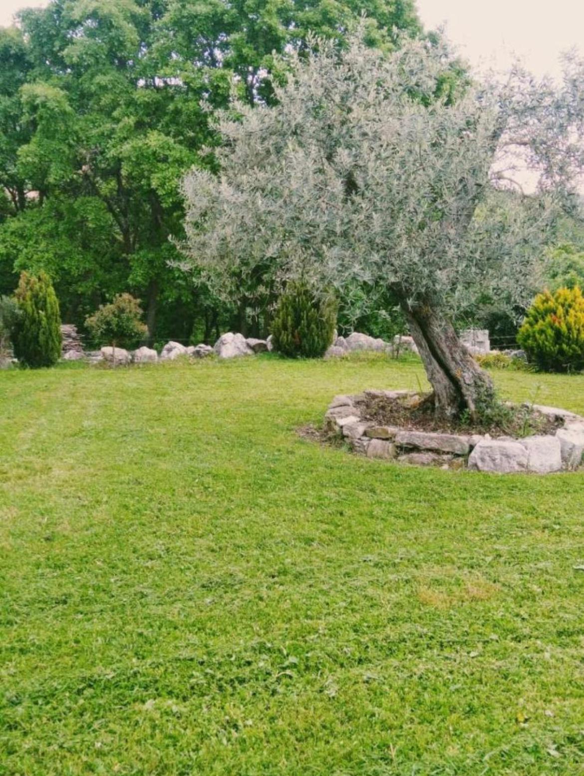 Residence San Martino Appartamento Mini Busso المظهر الخارجي الصورة